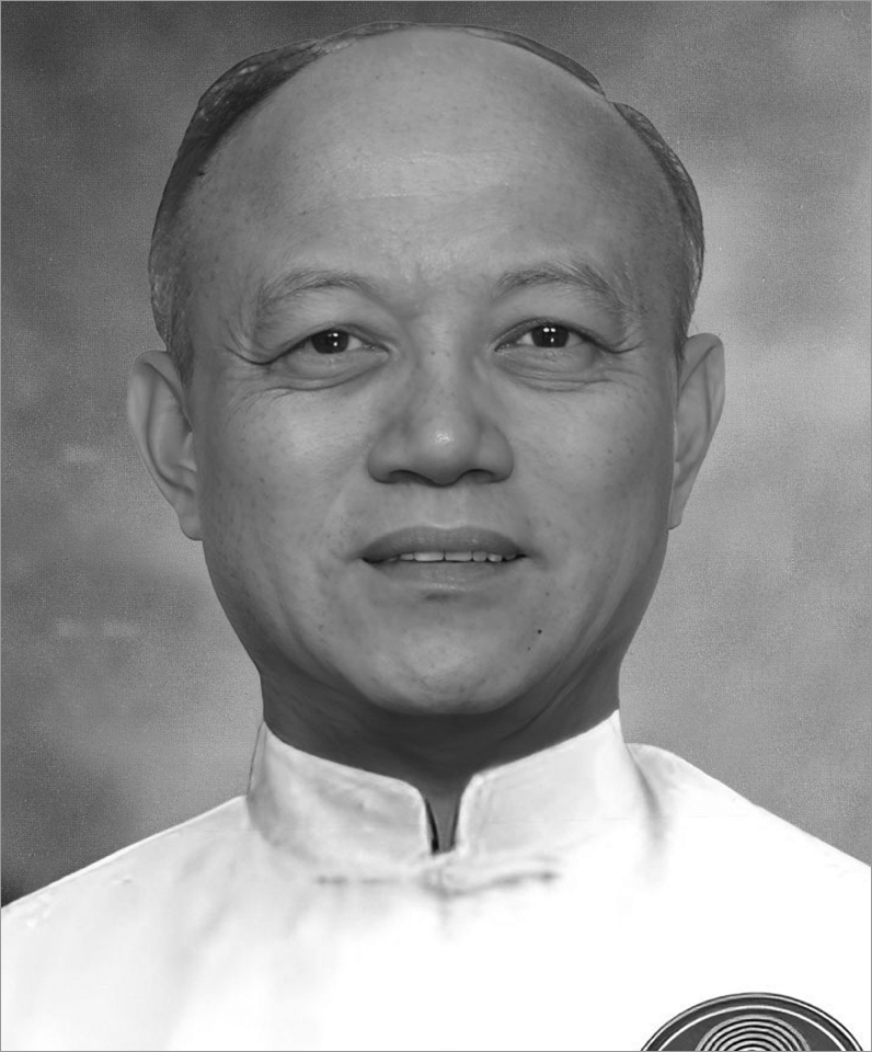 Grandmaster Han Jin Yuan